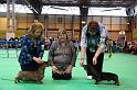 Crufts2011_2 1656